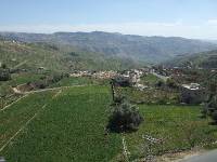 Wadi es Sir Tal (4)